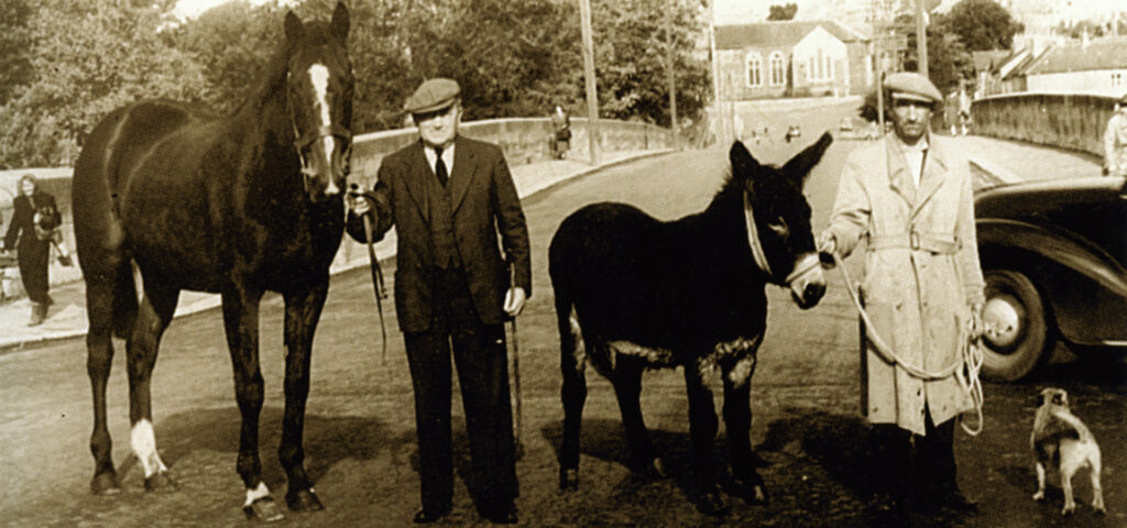 Chauffeur Service Cork Airport to Coolmore, Co.Tipperary. Jack O’Brien with Cottage Rake. James Foley with Biddy the Donkey.